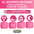 comprar complemento alimenticio para el sistema urinario femenino