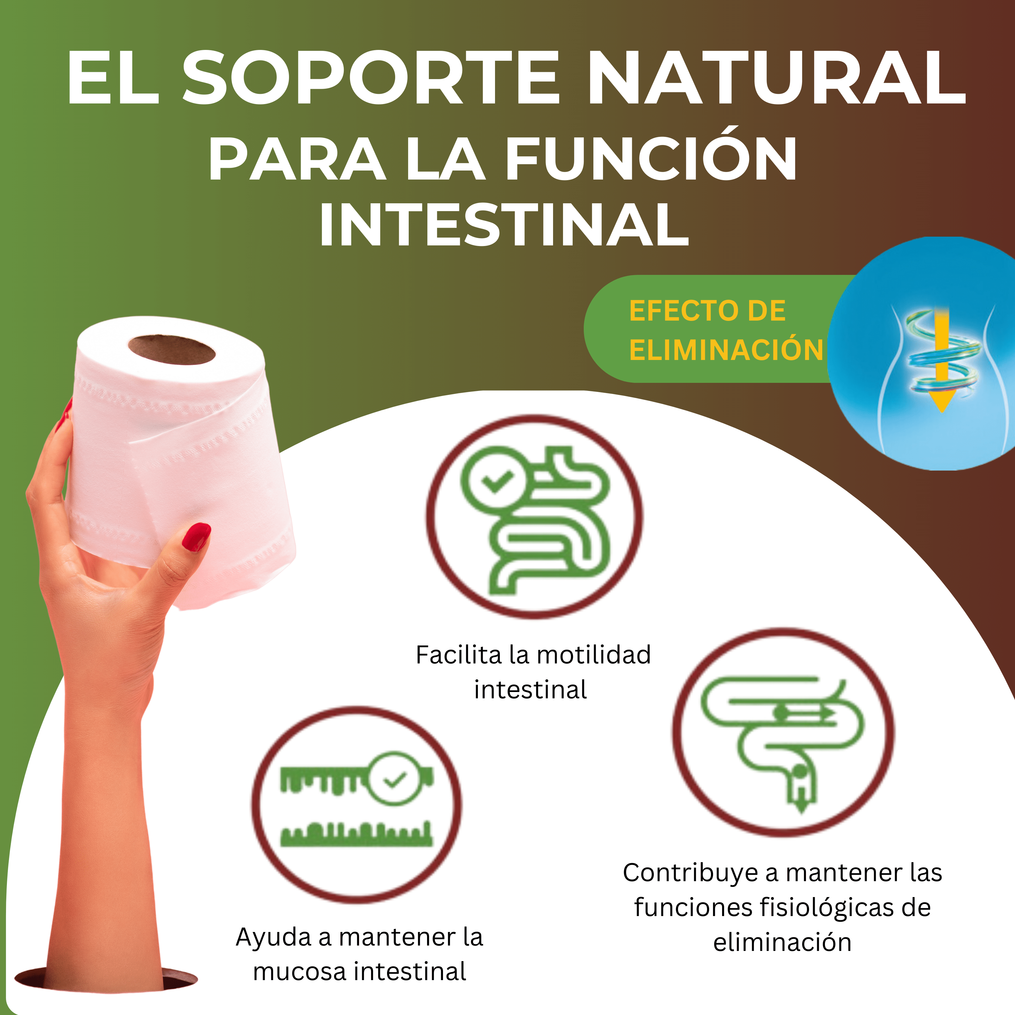 Este complemento alimenticio te ayudará a recuperar la regularidad intestinal y a sentirte más ligero. ¡No te lo pierdas!