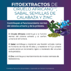próstata inflamada síntomas y tratamiento