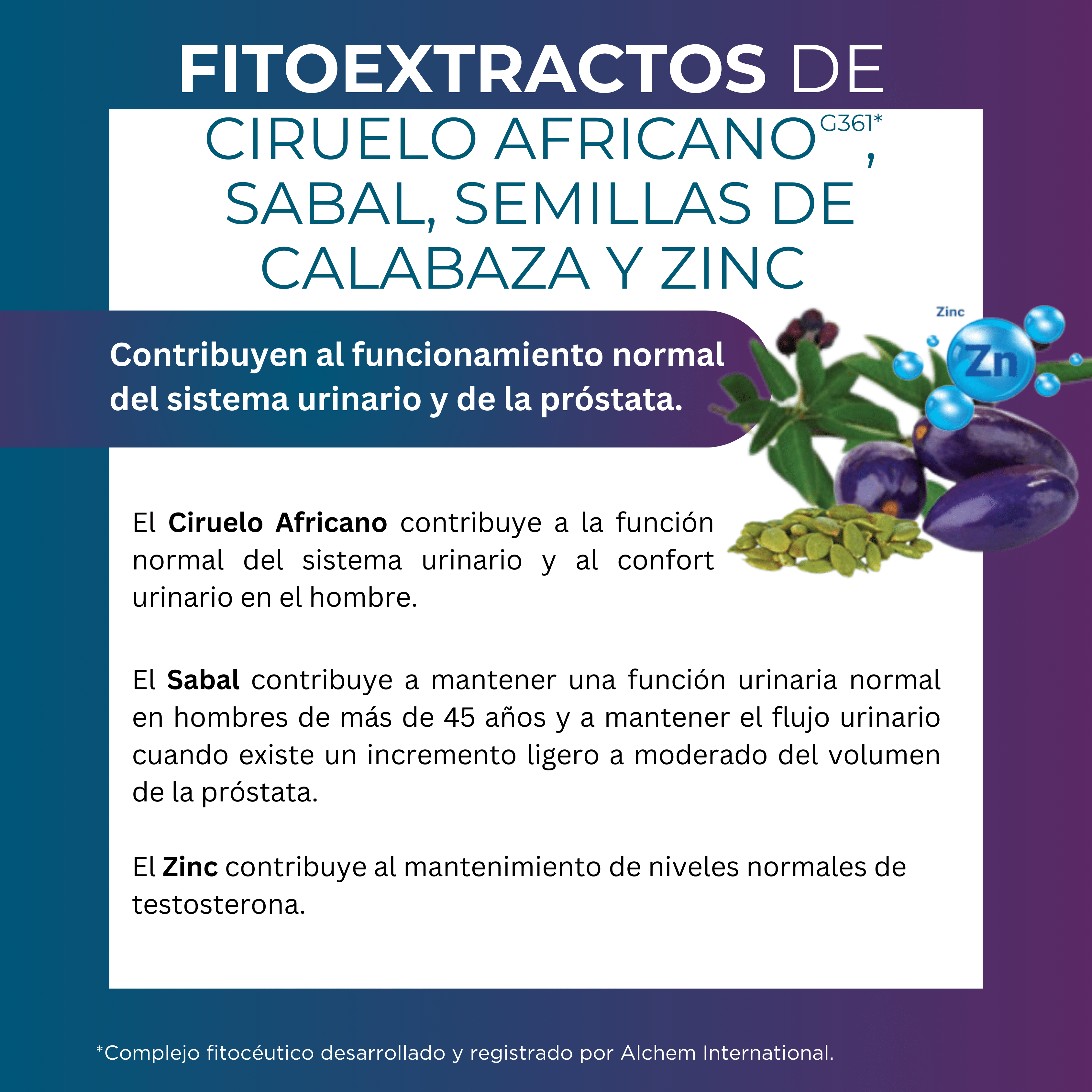 próstata inflamada síntomas y tratamiento